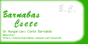 barnabas csete business card